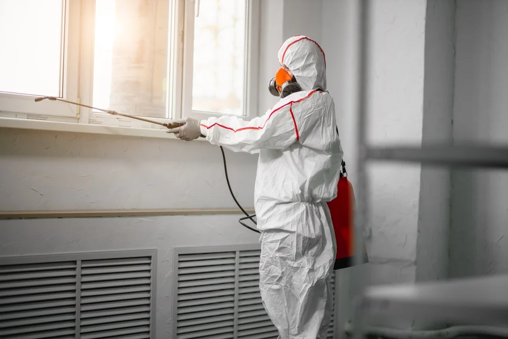 Professional mold remediation services in Little Suamico, WI